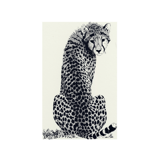 Cheetah Looking Back - Greeting Card