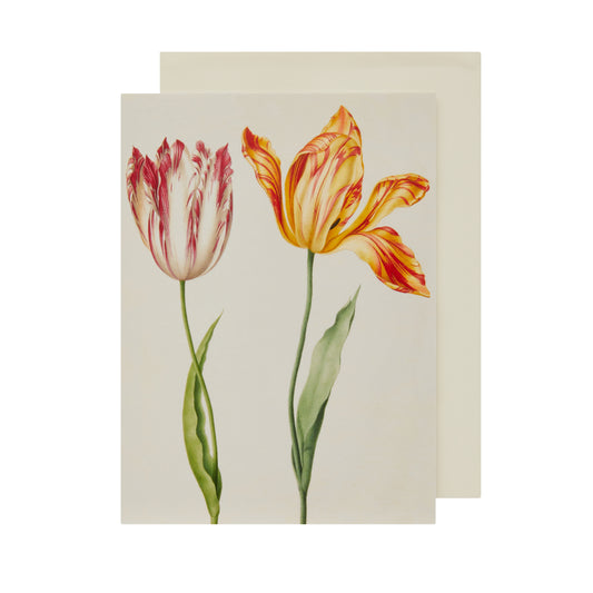 Two Broken Tulips - Greeting card