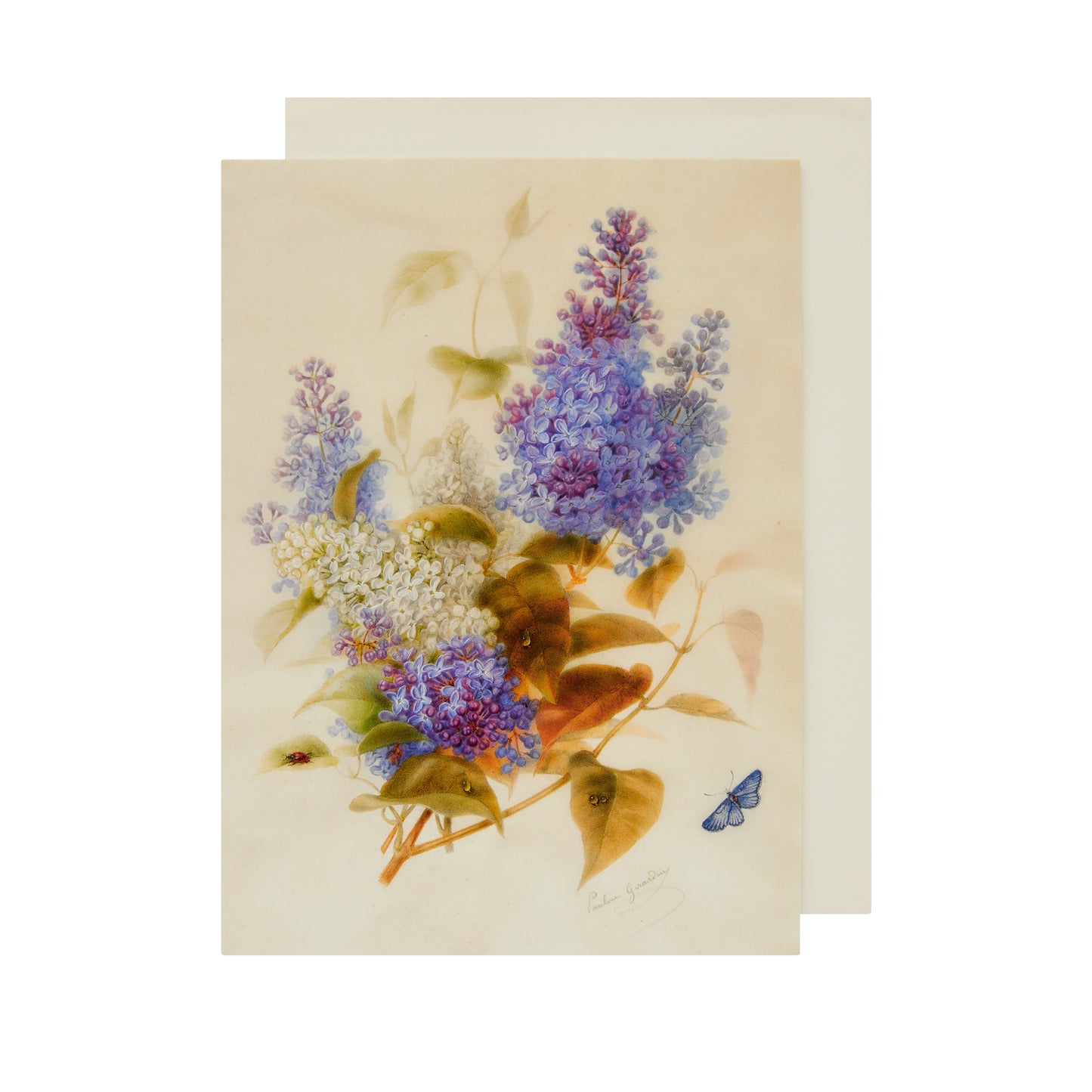 Spray of Lilac - Greeting card