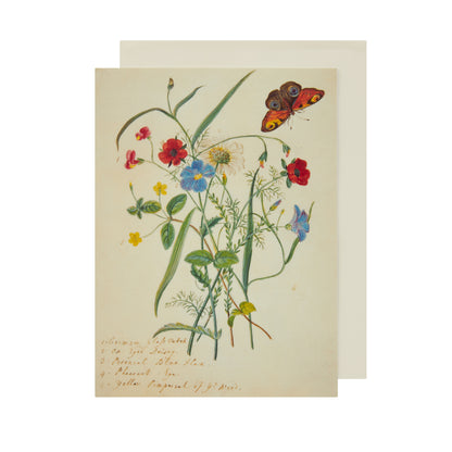 Flowers of the field - Greeting Card