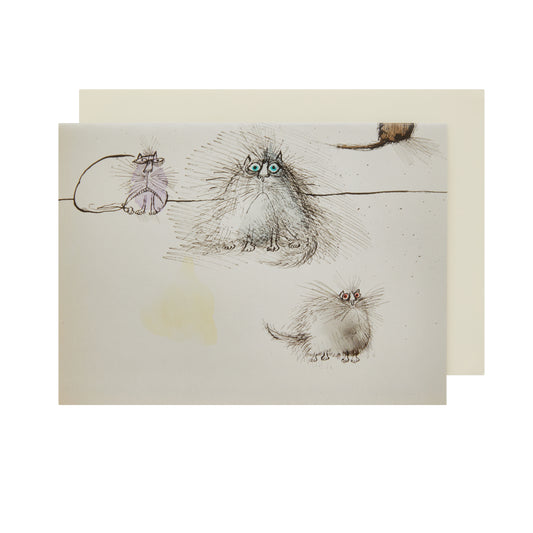 Four Cats - Greeting card