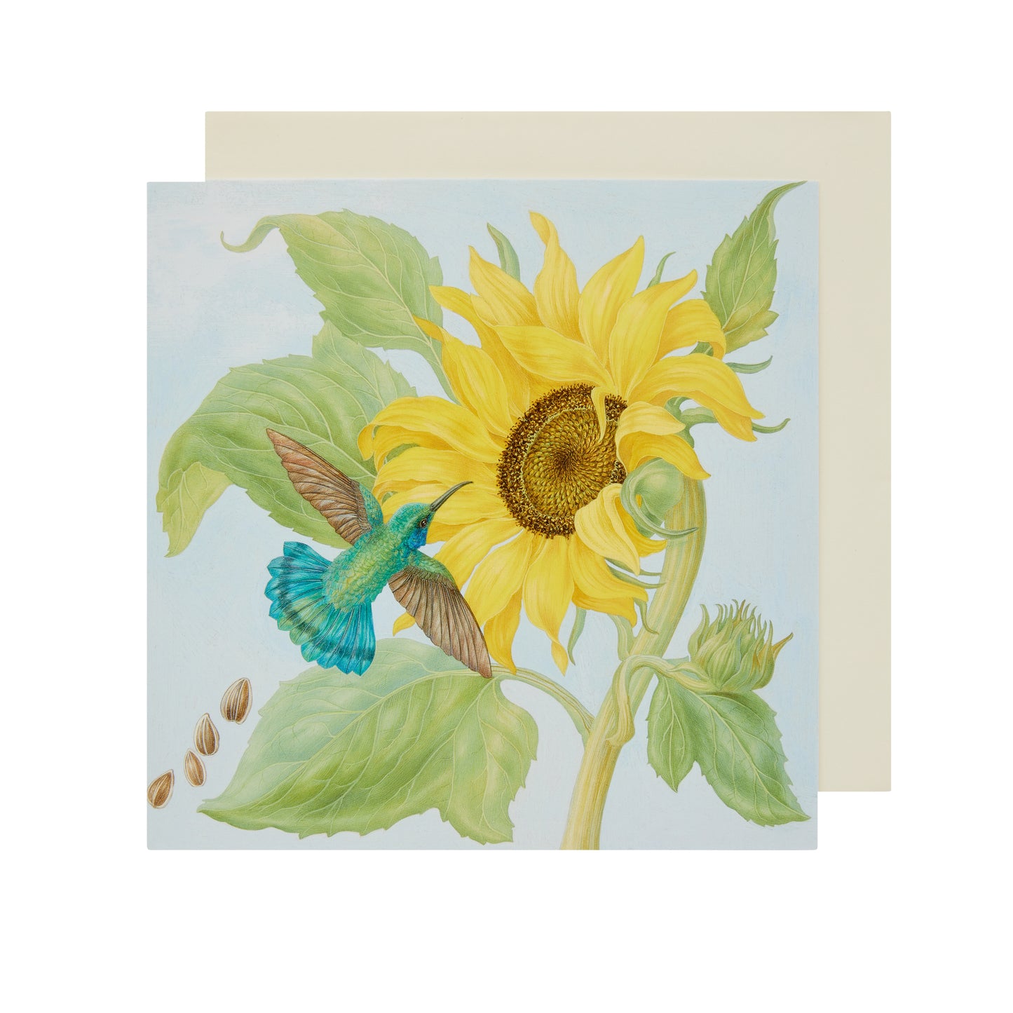 Hummingbird with Sunflower - Greetings card