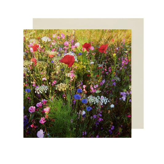 Mixed Meadow - Greeting Card