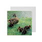 Easter card pack - photograph of five ducklings with their mother at Cambridge University Botanic Garden. Brought to you by CuratingCambridge.co.uk