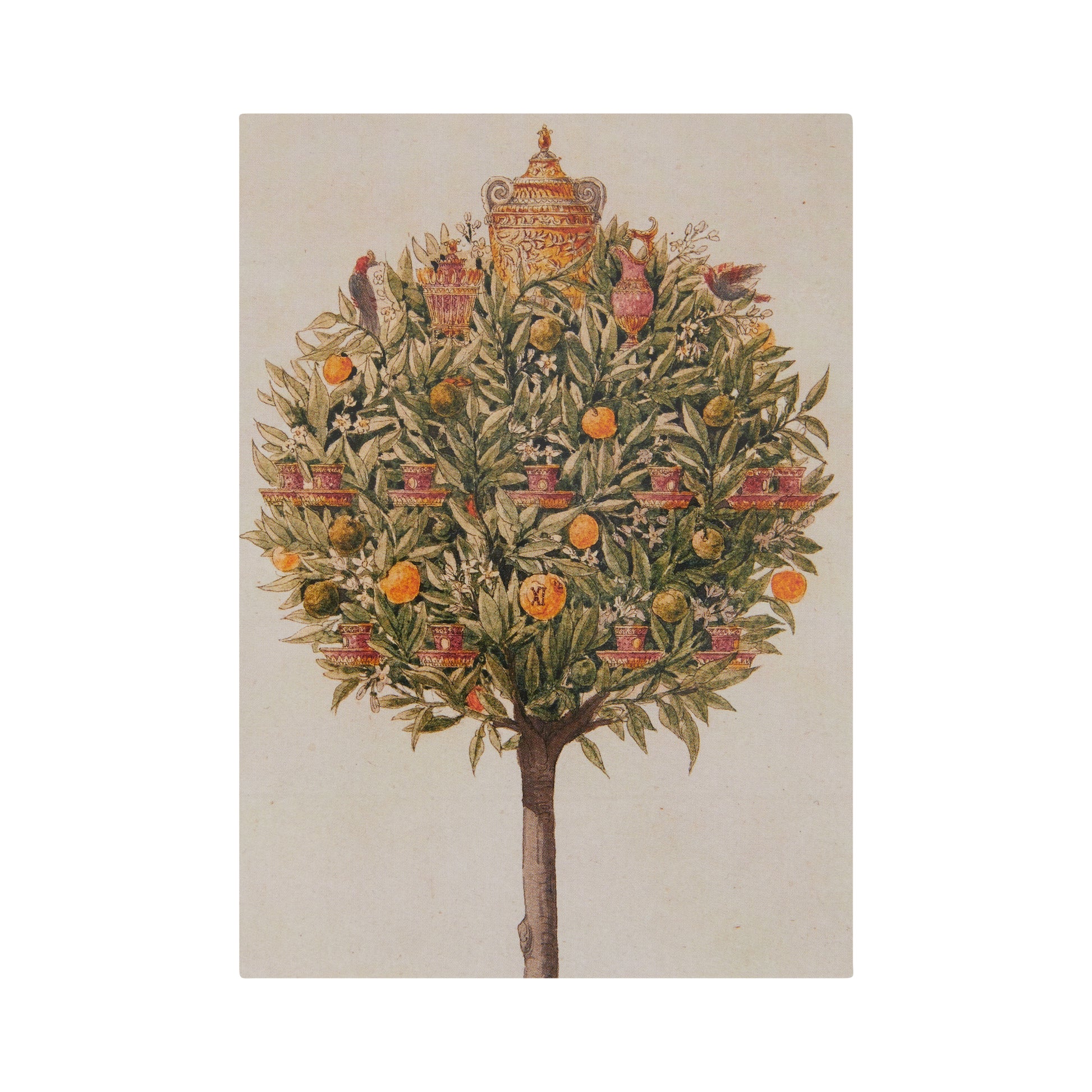 Rectangular Christmas card, portrait format. Orange tree with case and cups, by Charles Percier. From the collection of the Fitzwilliam Museum.