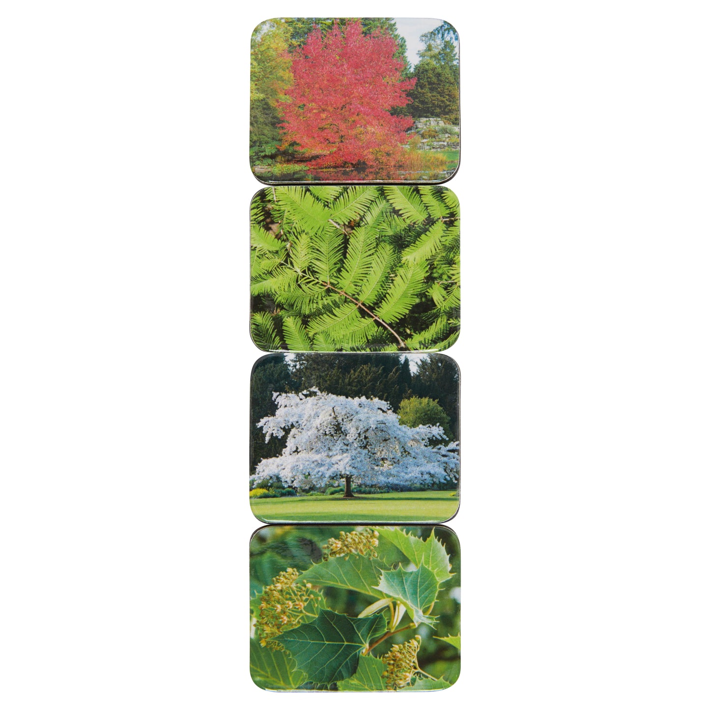 Botanic Garden Trees - Magnet set