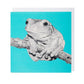 Tree Frog - Greeting Card