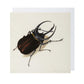 Atlas Beetle - Greeting Card