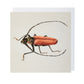 Longhorn Beetle - Greeting Card