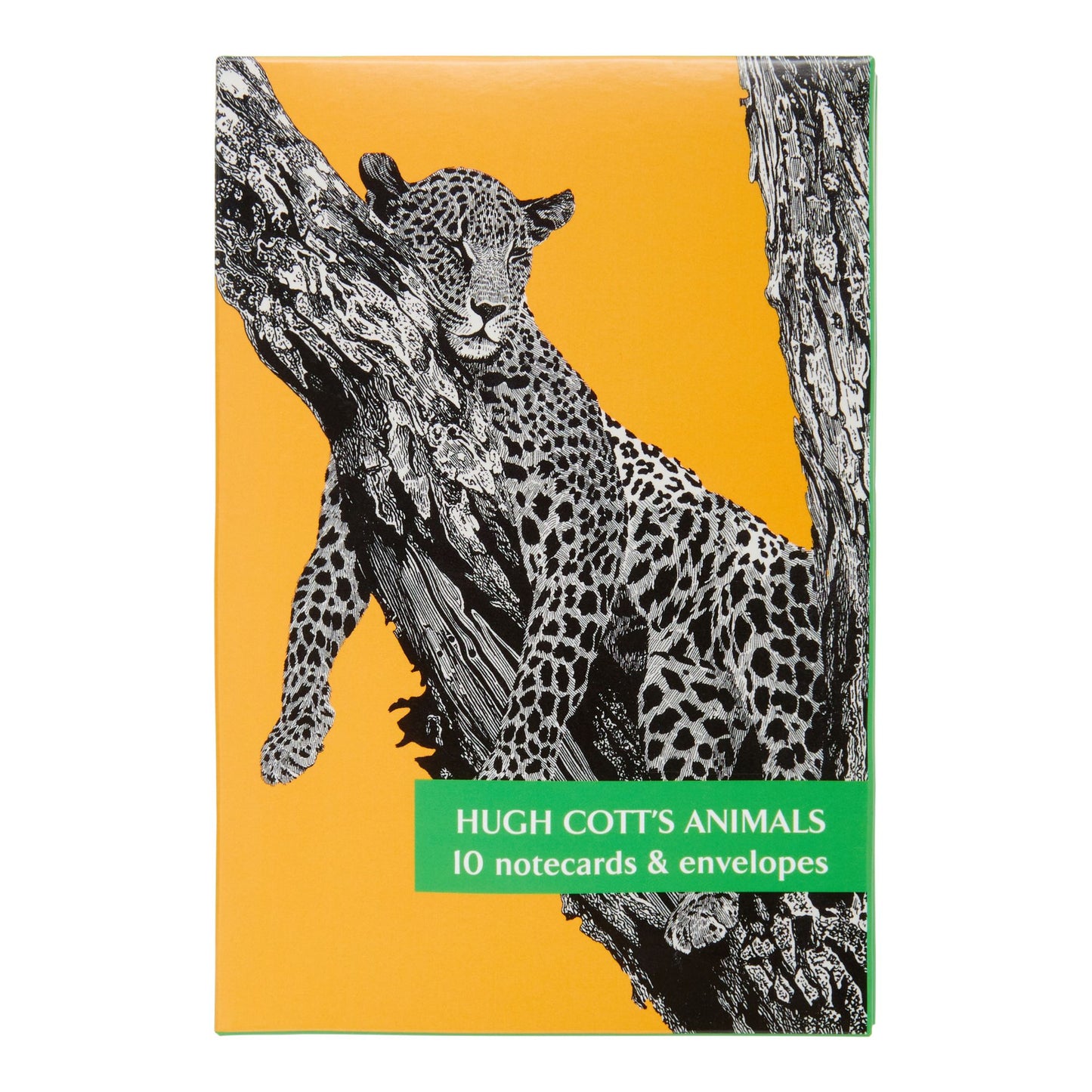 Hugh Cott's Animals - Notecard pack