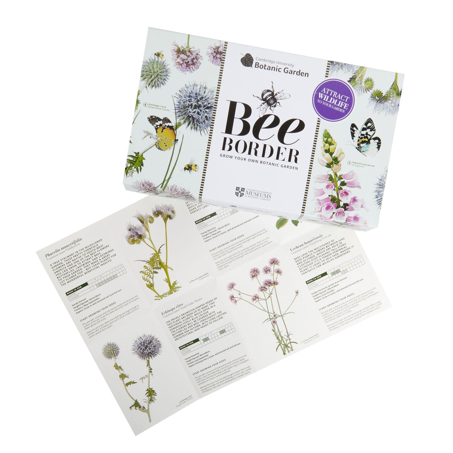 Bee Border - Seed growing kit