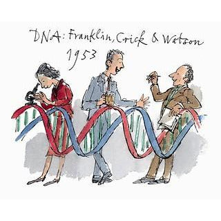 Rosalind Franklin, Francis Crick, and James Watson, and the discovery of the structure of DNA. Illustration by Quentin Blake, brought to you by CuratingCambridge.co.uk