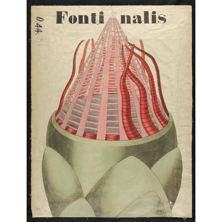 Fontinalis - teaching chart by John Stevens Henslow. From the collection of the Whipple Museum of the History of Science.