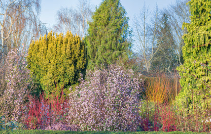 Photography from Cambridge University Botanic Gardens