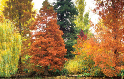 Photography from Cambridge University Botanic Gardens