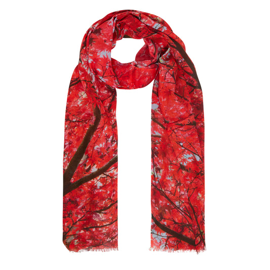 Scarf with red acer leaves design, photographed in Cambridge University Botanic Garden