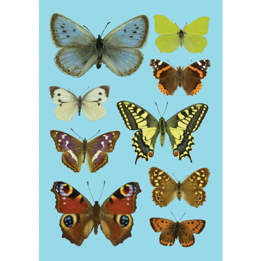Butterflies of the United Kingdom - Greeting card