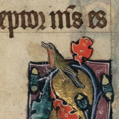 Christmas card pack - A robin, from the Macclesfield Psalter. From the illuminated manuscript collection of The Fitzwilliam Museum, brought to you by CuratingCambridge.com