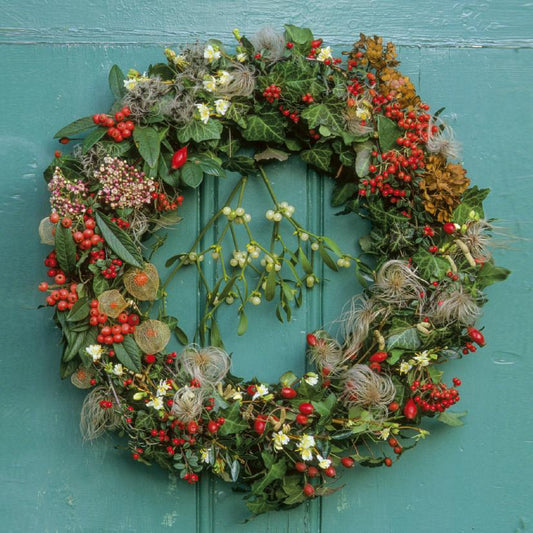 Christmas card pack - the Gardener's Garland Christmas wreath. Photograph taken by Howard Rice at Cambridge University Botanic Garden. Brought to you by CuratingCambridge.co.uk