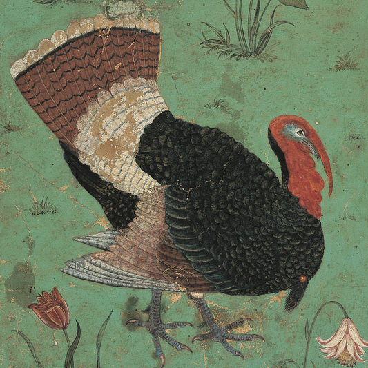 Christmas card front -a large and magnificent turkey against a green background, with flowers in the bottom corners. From the collection of The Fitzwilliam Museum.