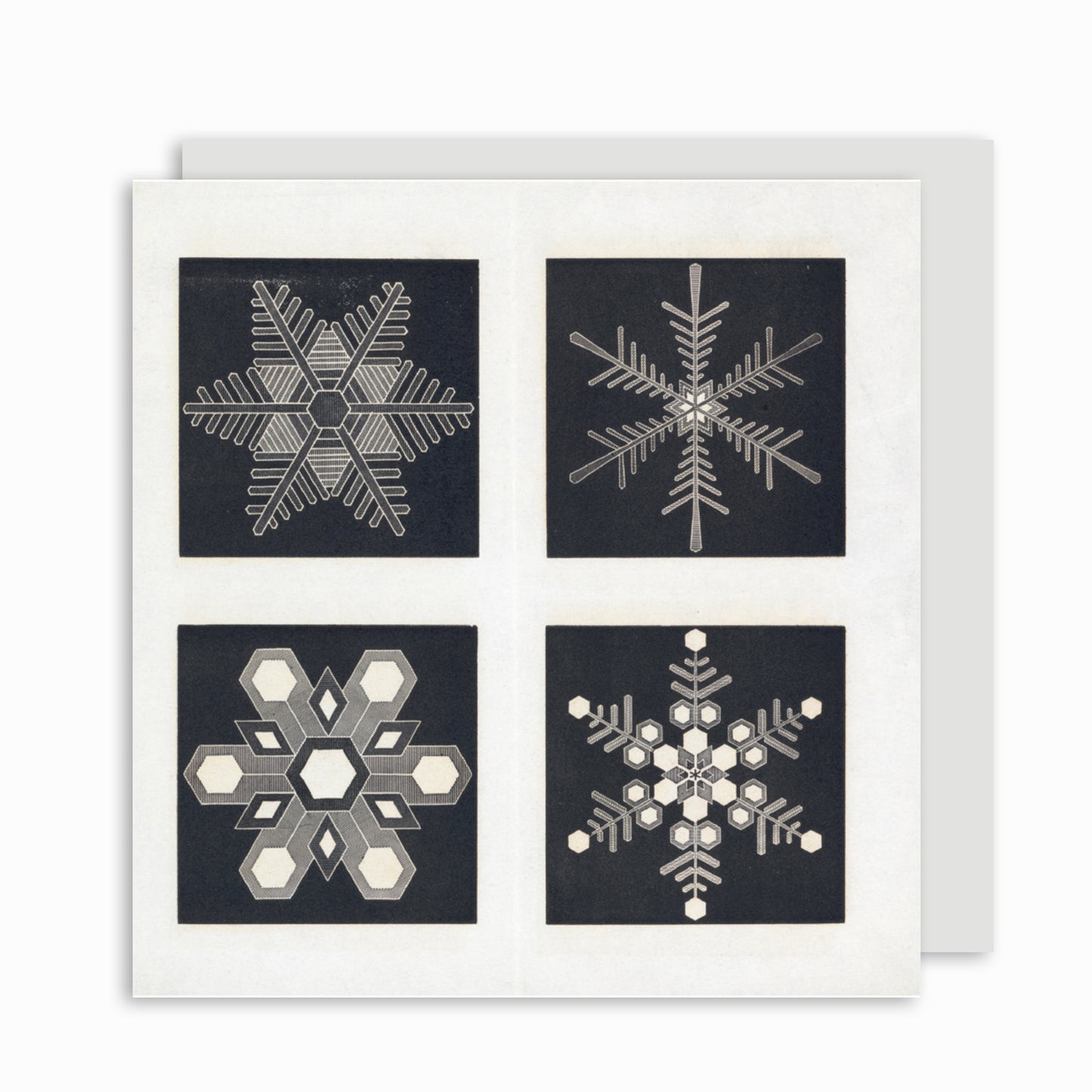 Four Snow Crystals - Christmas card pack
