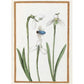 Greeting card - Snowdrops with a Blue Bottle by Antoine du Pinet. From the collection of The Fitzwilliam Museum, brought to you by CuratingCambridge.com