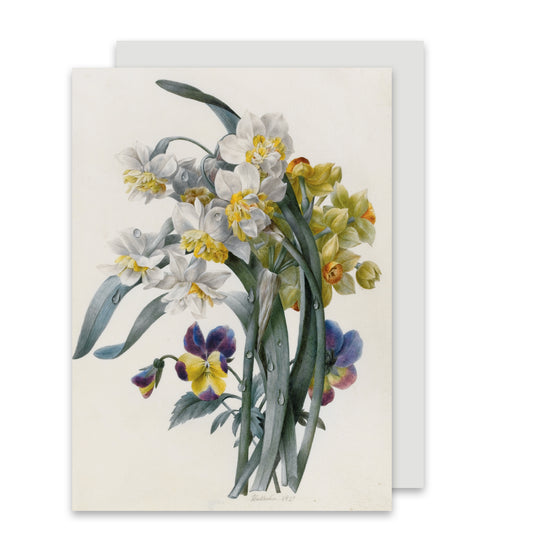 Narcissi and Pansies - Greeting card