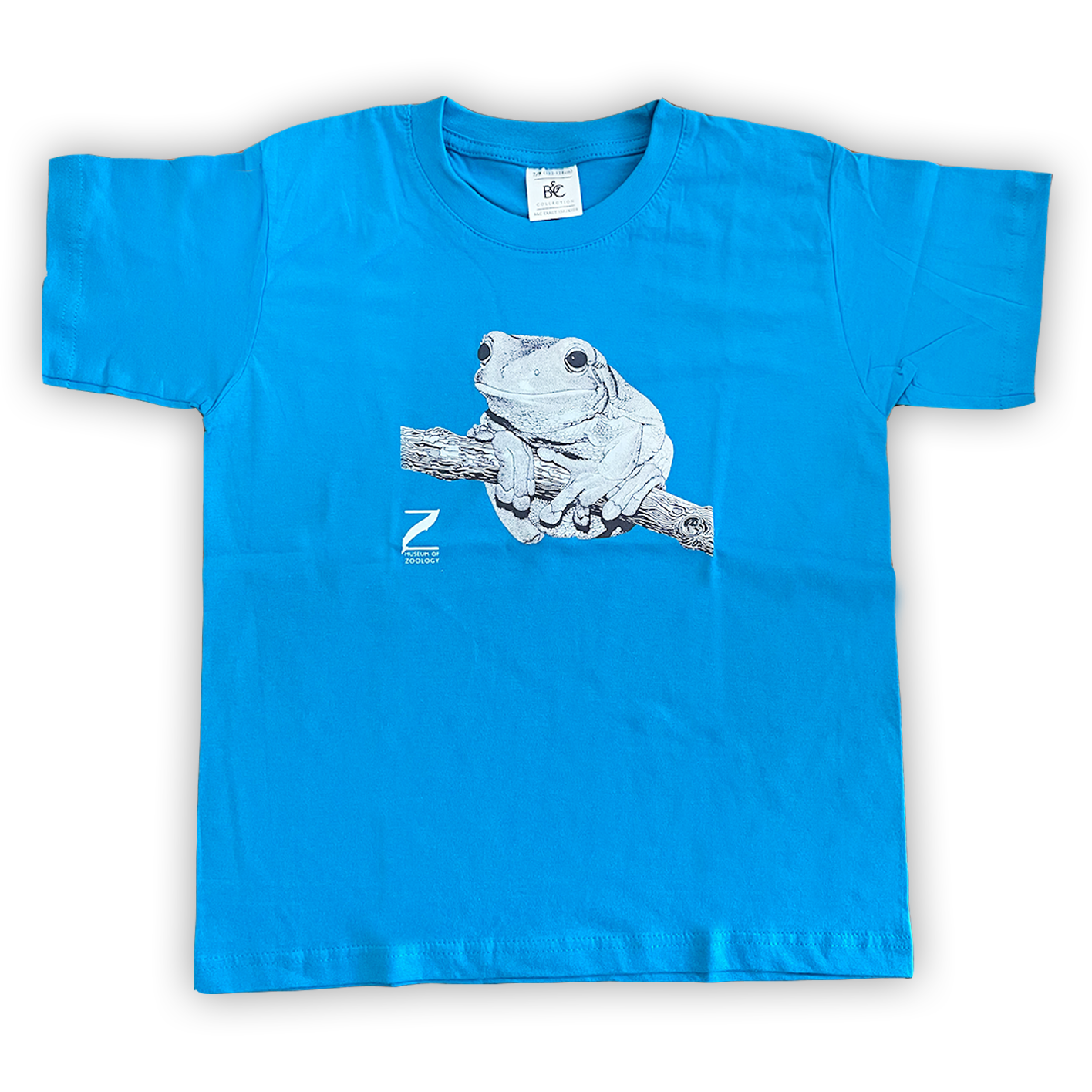 Tree Frog on Blue - Children's T-shirt