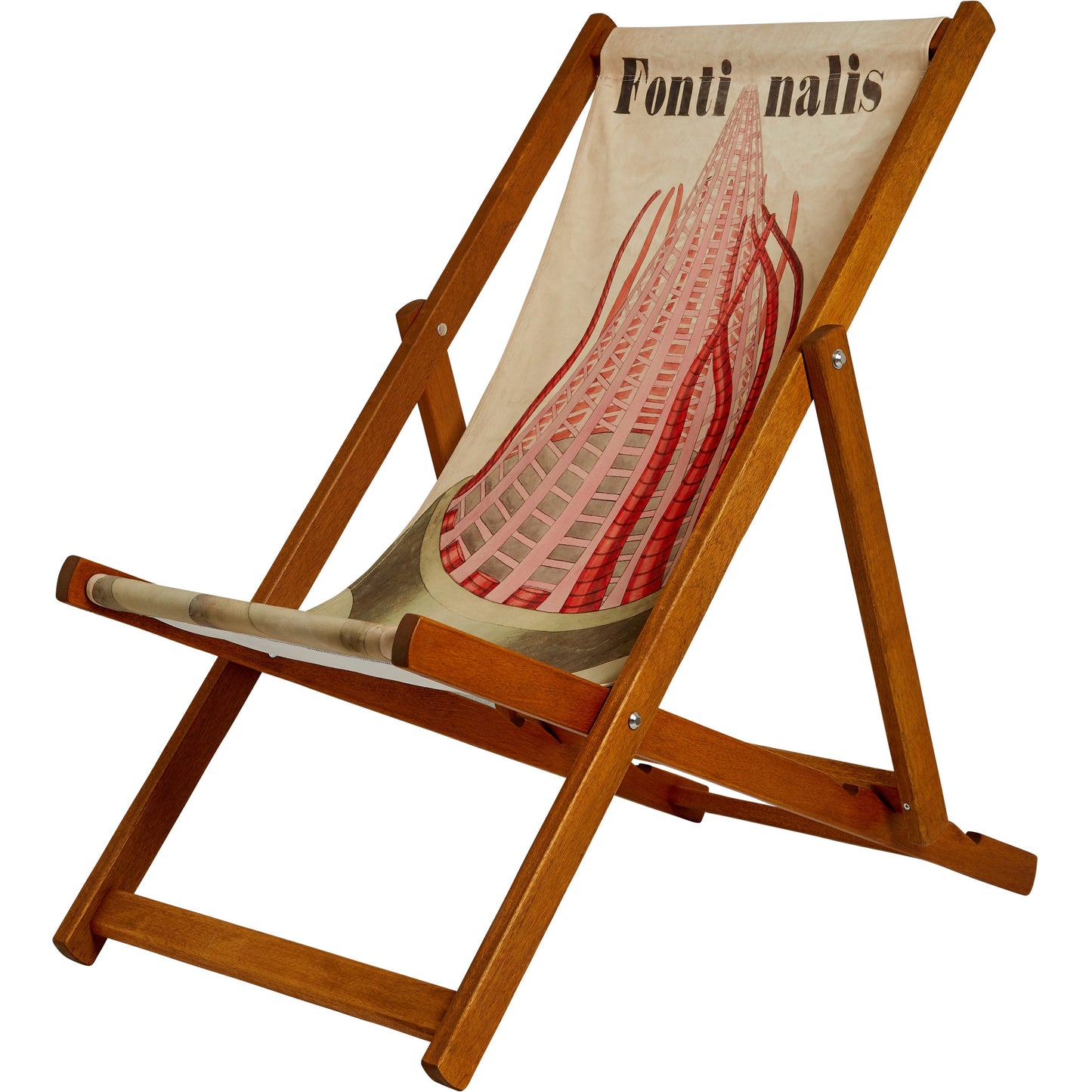 Deckchair with illustration Fontinalis by John Stevens Henslow. From the collection of the Whipple Museum of the History of Science, brought to you by CuratingCambridge.com