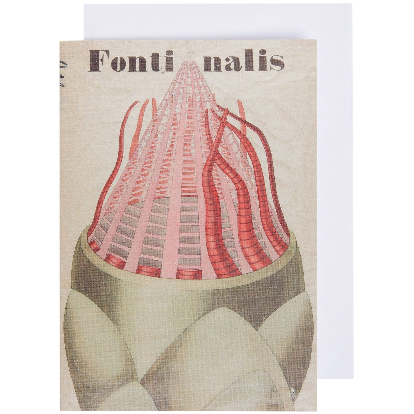 Notecard with envelope, Fontinalis by John Stevens Henslow. From the Whipple Museum of the History of Science, brought to you by CuratingCambridge.com