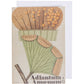 Notecard and envelope - Adiantum amoenum illustration by John Stevens Henslow. From the Whipple Museum of the History of Science, brought to you by CuratingCambridge.com