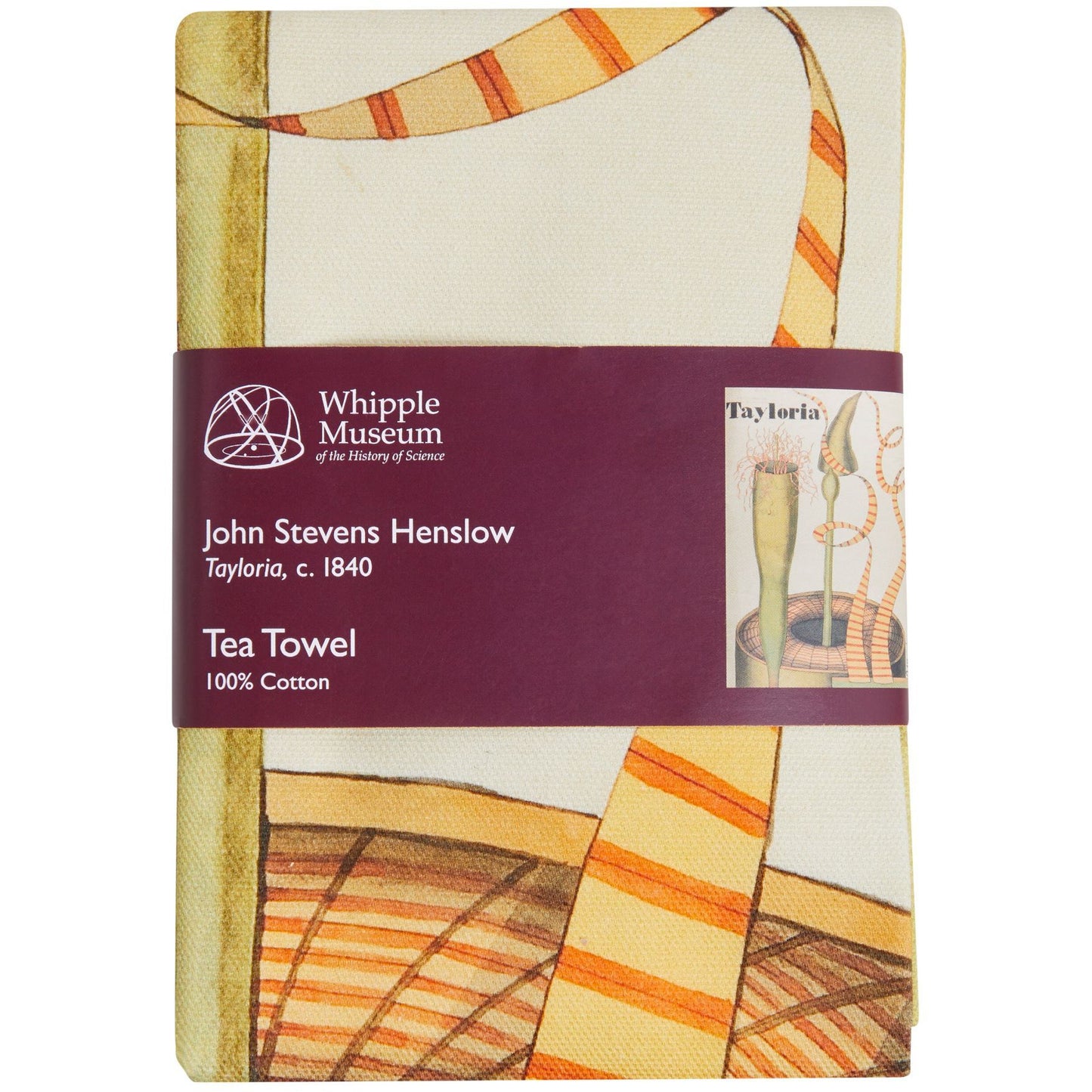 Henslow's Tayloria - Tea towel