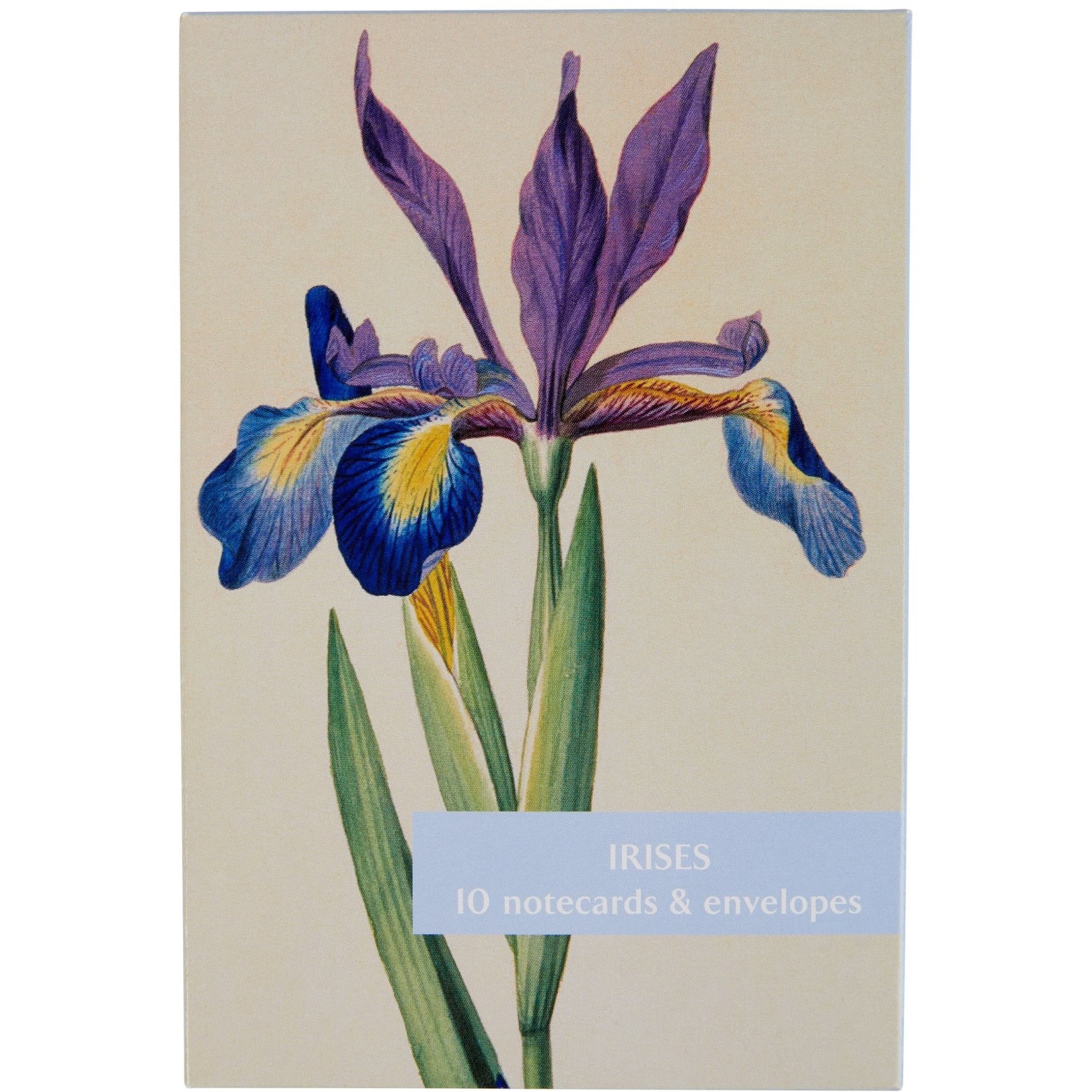 Notecard pack - Irises from the Broughton collection of The Fitzwilliam Museum. Brought to you by CuratingCambridge.com