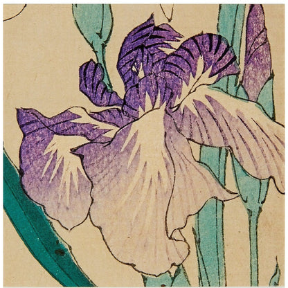 Notecard - iris detail from Looking as if she is enjoying a stroll by Tsukioka Yoshitoshi, From the collection of the Fitzwilliam Museum, brought to you by CuratingCambridge.co.uk