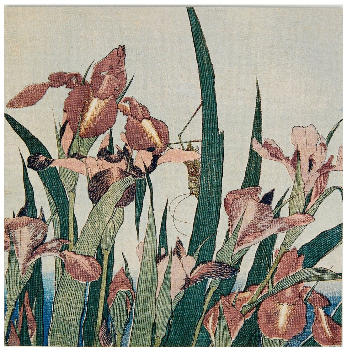 Notecard - detail from Irises and grasshopper by Katsushika Kokusai. From the collection of the Fitzwilliam Museum, brought to you by CuratingCambridge.co.uk