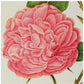 Notecard - Centifolia rose. From the Broughton Collection of the Fitzwilliam Museum, brought to you by CuratingCambridge.co.uk