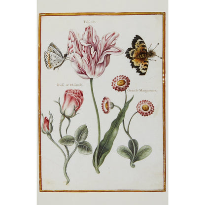 Notecard image - Flowers with Butterflies by Nicolas Robert. From the Broughton collection of the Fitzwilliam Museum, brought to you by CuratingCambridge.co.uk