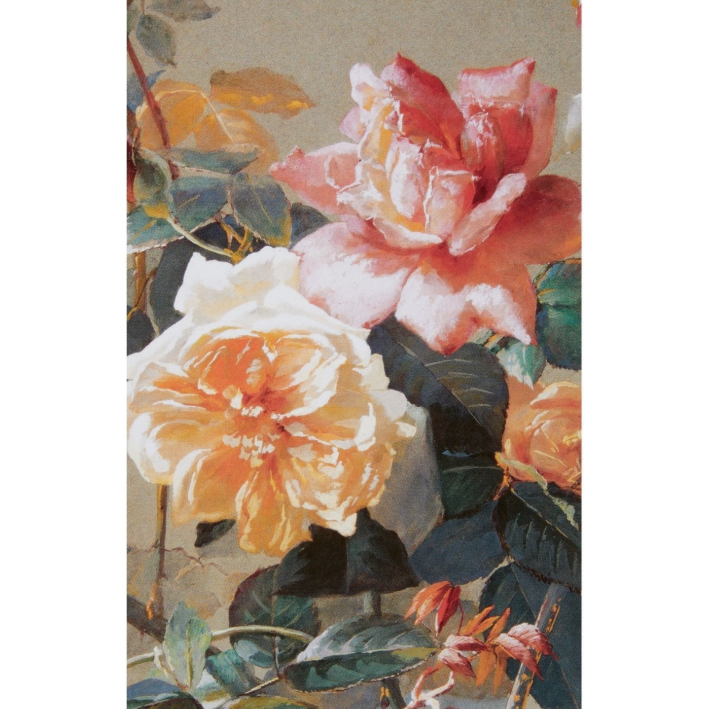 Notecard - Climbing tea roses and a humming bird (detail) by W. Mussilla. From the Broughton Collection of the Fitzwilliam Museum, brought to you by CuratingCambridge.co.uk