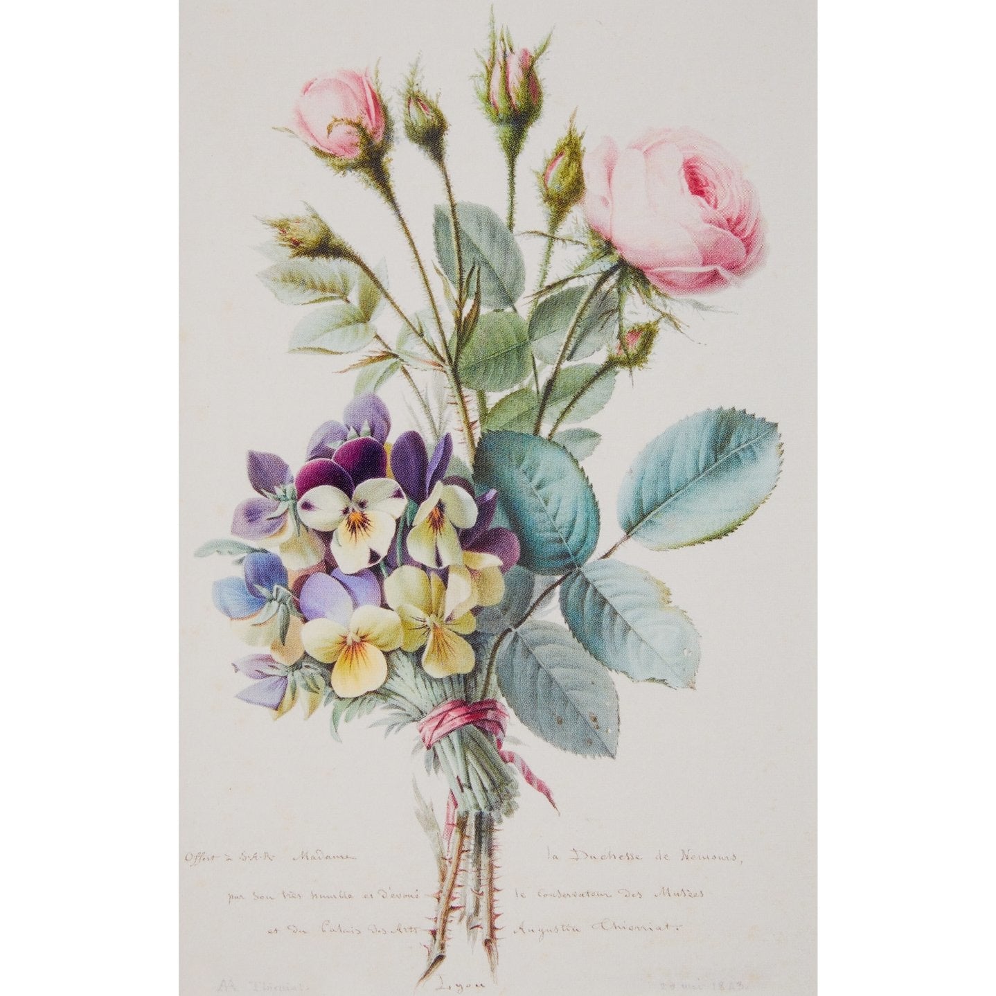 Notecard - Pansies and Moss Roses by Augustin Thierriat. From the Broughton Collection of the Fitzwilliam Museum, brought to you by CuratingCambridge.co.uk
