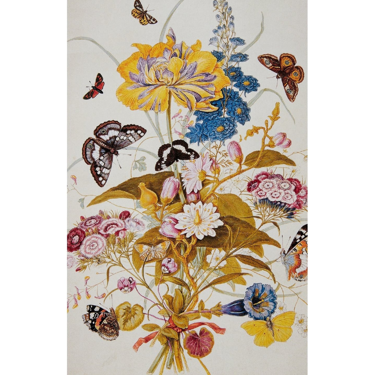 A bunch of ornamental flowers tied with ribbon, surrounded by moths and butterflies, by Thomas Robins the Elder. From the Broughton collection of The Fitzwilliam Museum, brought to you by CuratingCambridge.co.uk