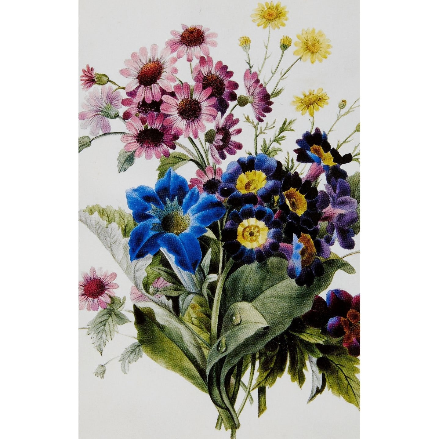 Notecard - Mixed Flowers with auricula and gentian by Louise d'Orleans. From the Broughton Collection of the Fitzwilliam Museum, brought to you by CuratingCambridge.