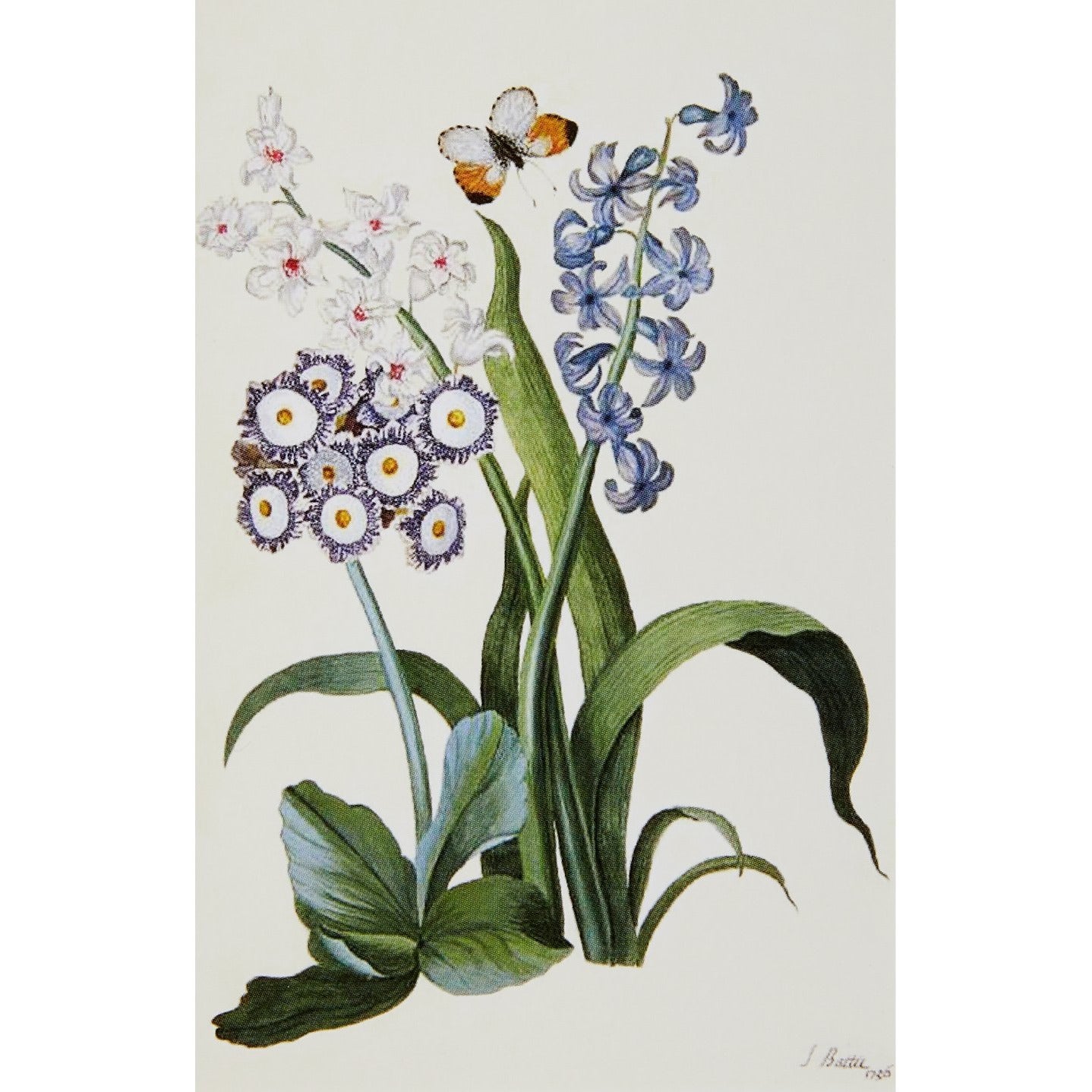 Notecard - Woodland Flowers by J. Battie. From the Broughton Collection of the Fitzwilliam Museum, brought to you by CuratingCambridge.
