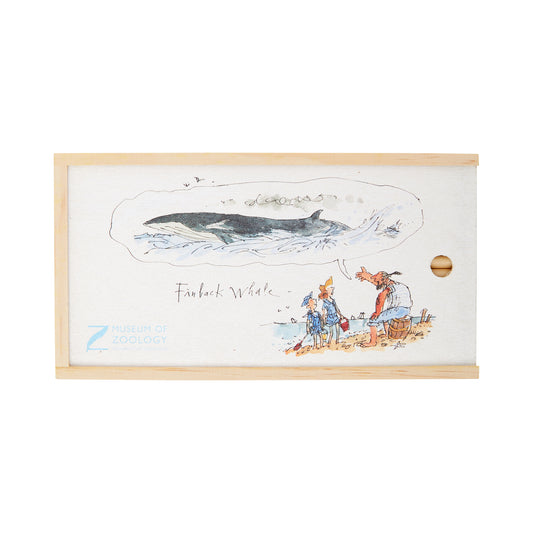 Wooden pencil case with Blue finback whale design