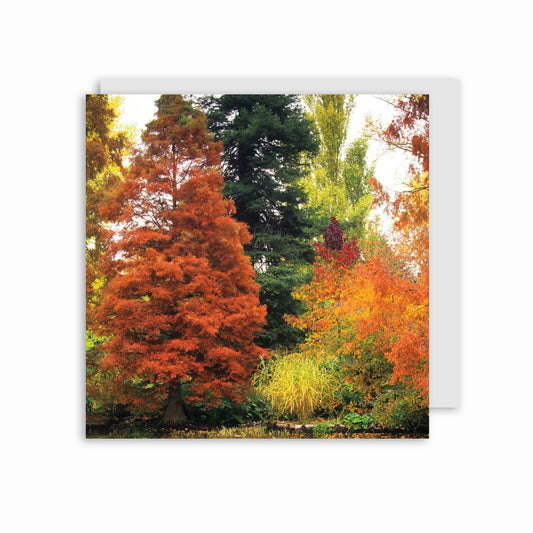 Lakeside Trees - Greeting card
