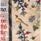 Square greeting card - a medieval bird with floral motifs around and the edge of a calligraphic text, from an illuminated manuscript. From The Fitzwilliam Museum, brought to you by CuratingCambridge.com