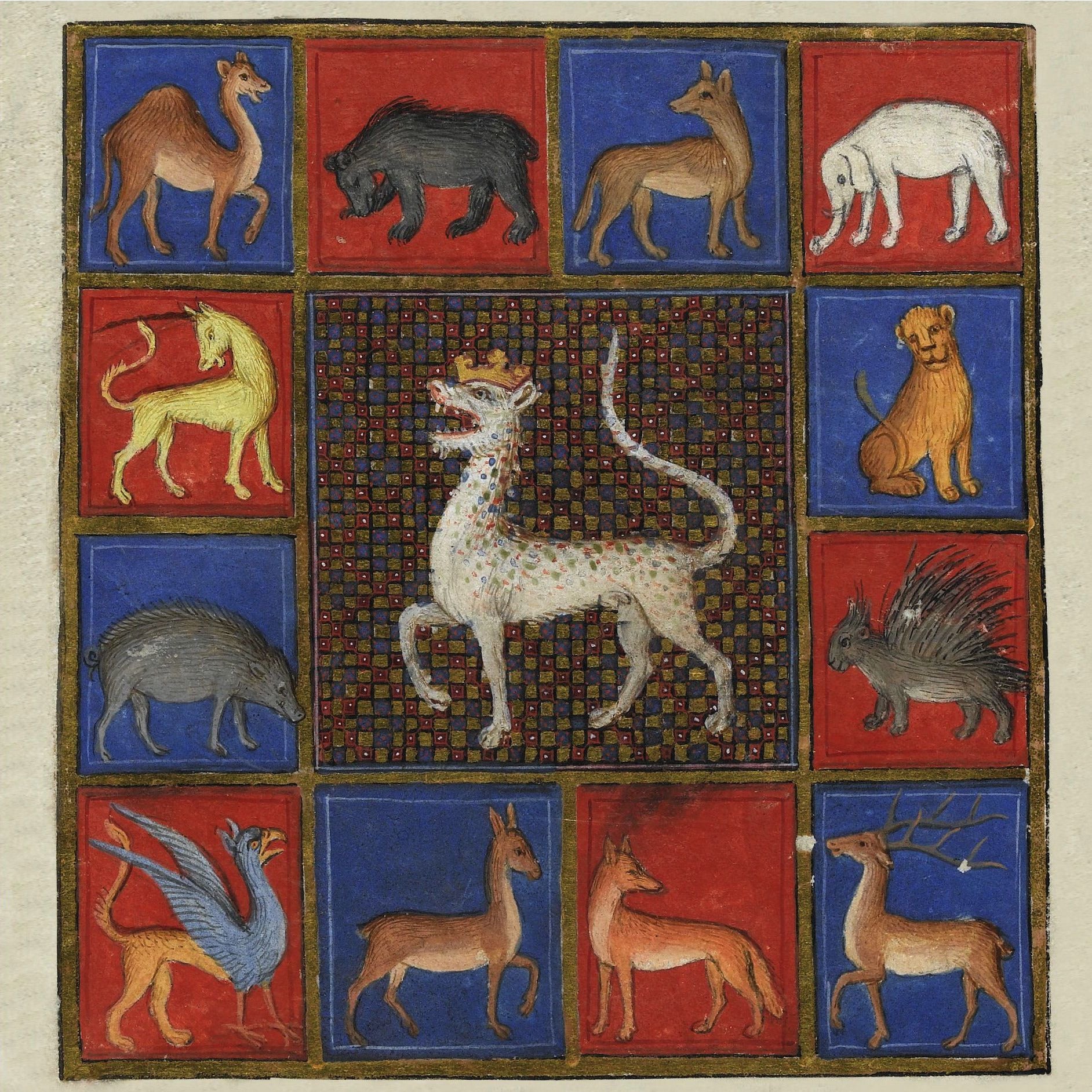 Square greeting card - animals of a bestiary illuminated manuscript illustration. Animals against red and blue squares including deer, a camel, an elephant, a porcupine, a unicorn and a griffin. From the collection of The Fitzwilliam Museum, brought to you by CuratingCambridge.com