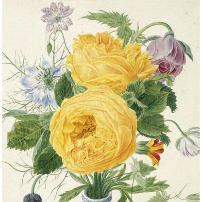 Greeting card - Yellow Roses with love-in-a-mist by Michiel van Huysum. A pair of yellow roses in watercolour. From the Broughton collection of The Fitzwilliam Museum, brought to you by CuratingCambridge.com