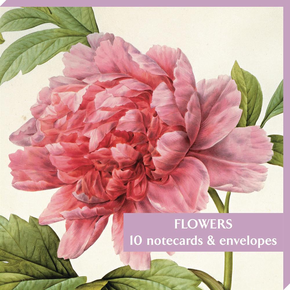 Notecard pack  - pink flowers. Cover image Paeonia suffruticosa by Redoute. From the collection of the Fitzwilliam Museum, brought to you by CuratingCambridge.co.uk
