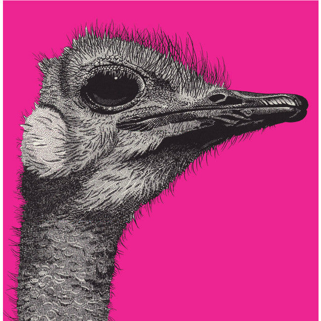 Ostrich - Greeting Card