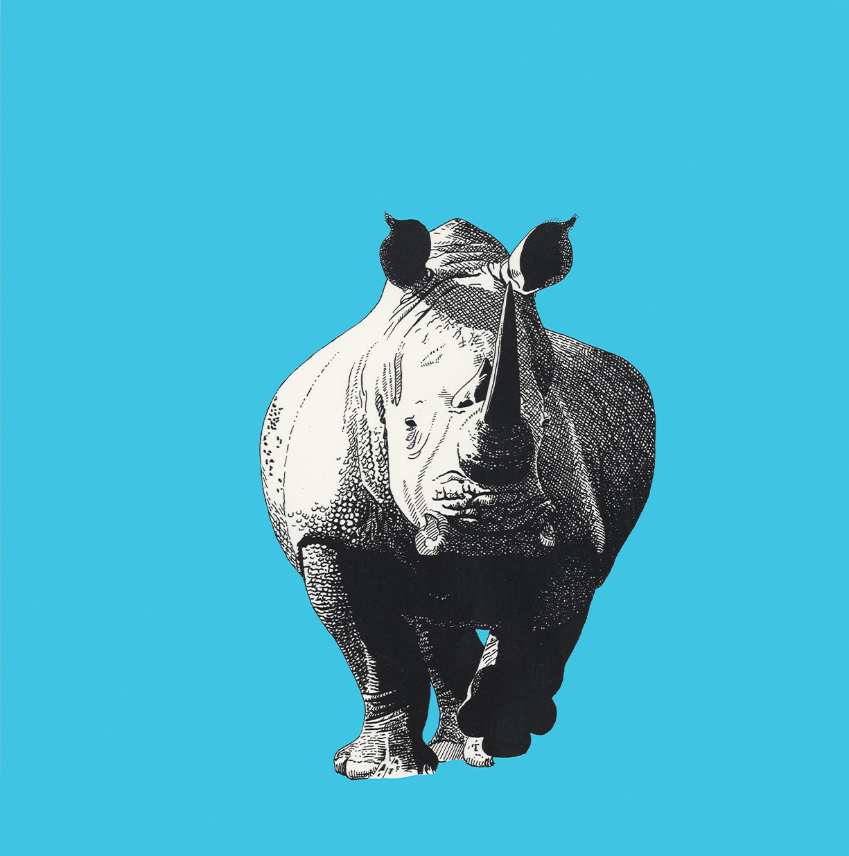White Rhinoceros Advancing - Greeting card